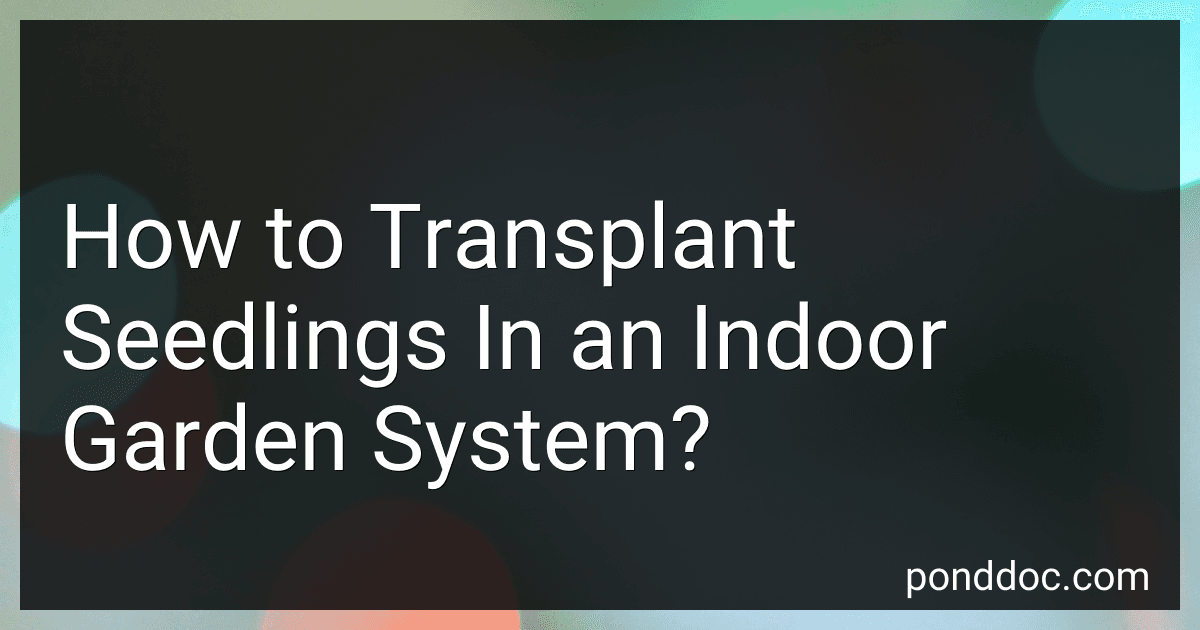 How to Transplant Seedlings In an Indoor Garden System? image