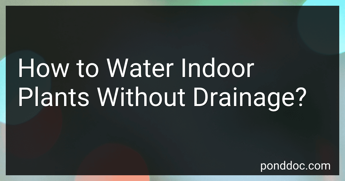 How to Water Indoor Plants Without Drainage? image