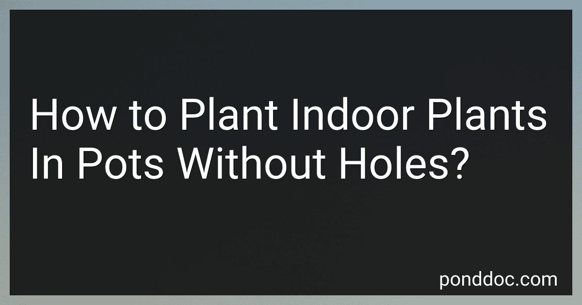 How to Plant Indoor Plants In Pots Without Holes? image