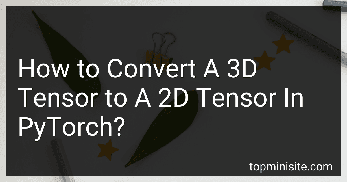 How to Convert A 3D Tensor to A 2D Tensor In PyTorch? image