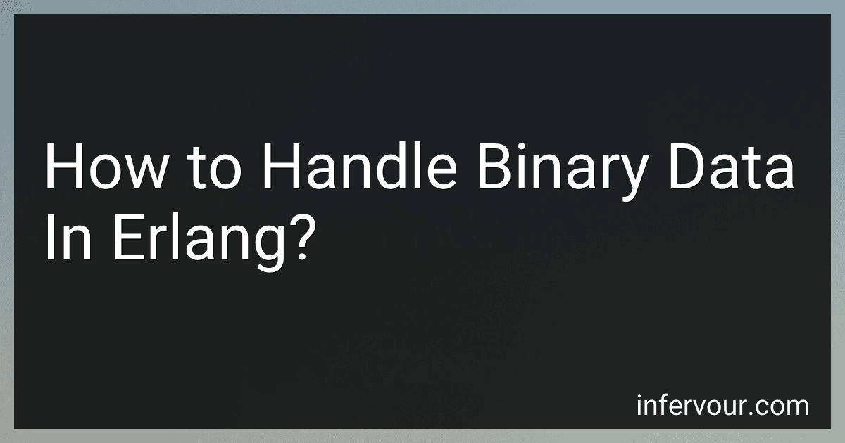 How to Handle Binary Data In Erlang? image