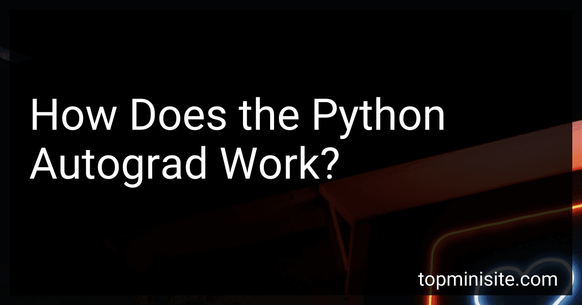 How Does the Python Autograd Work? image