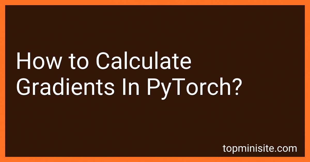 How to Calculate Gradients In PyTorch? image