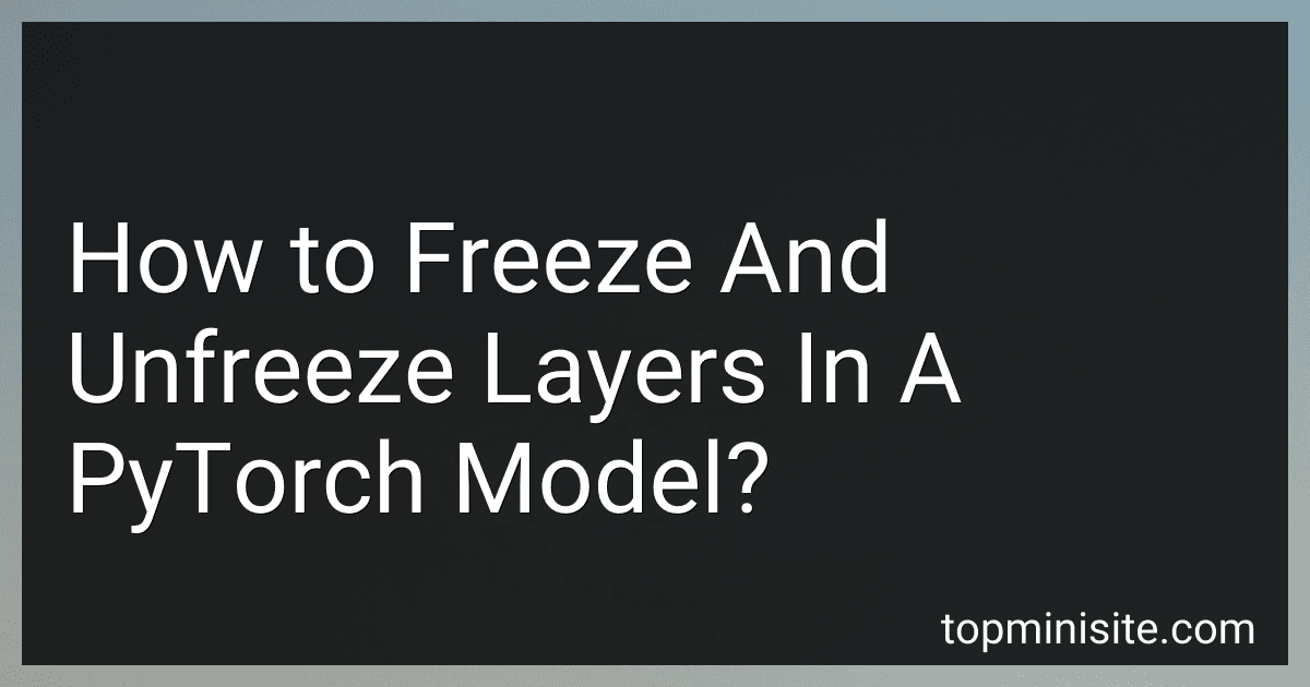 How to Freeze And Unfreeze Layers In A PyTorch Model? image