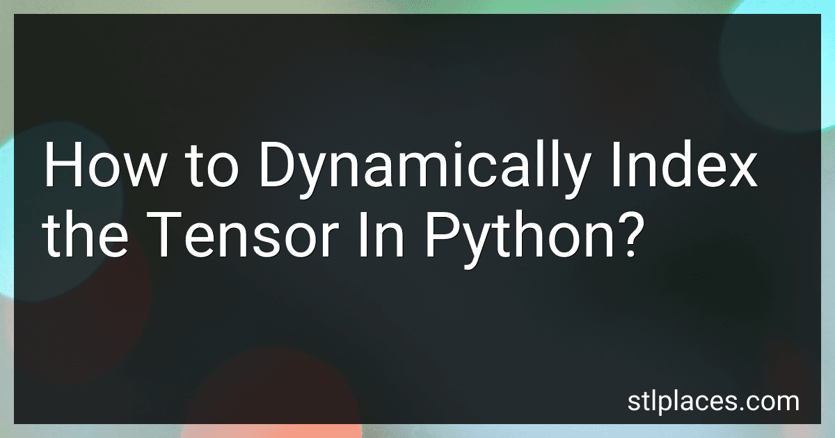 How to Dynamically Index the Tensor In Python? image