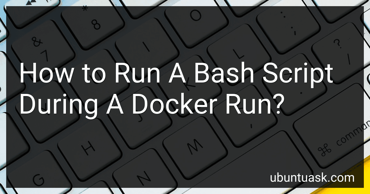 How to Run A Bash Script During A Docker Run? image