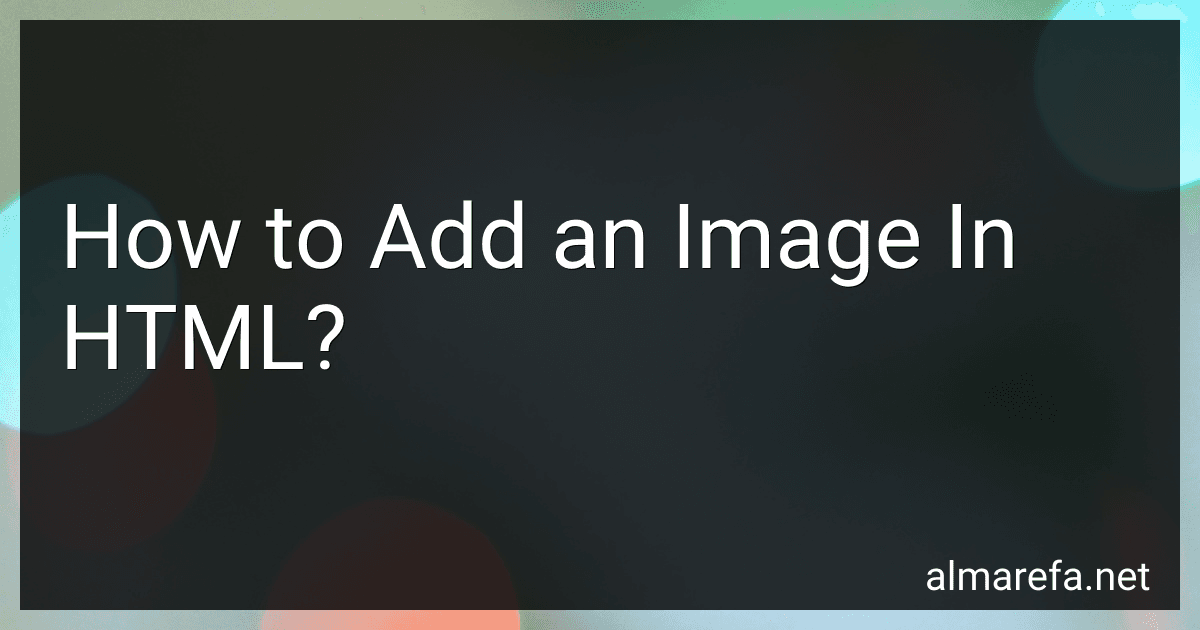 How to Add an Image In HTML? image