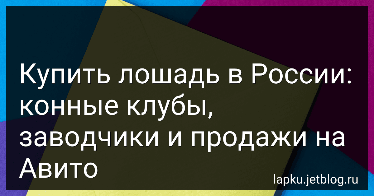 Купить лошадь в России: конные клубы, заводчики и продажи на Авито image