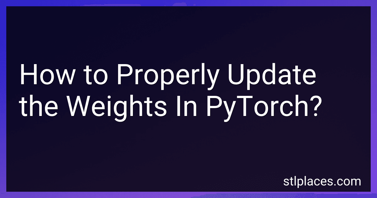 How to Properly Update the Weights In PyTorch? image
