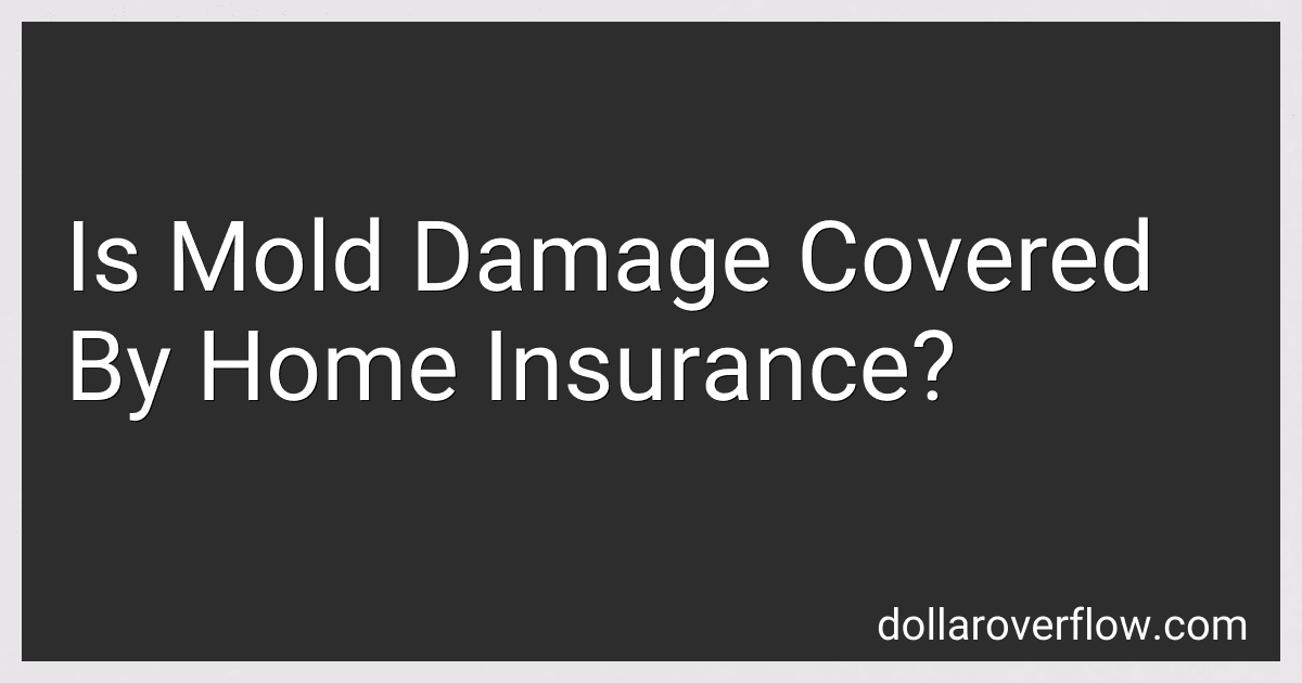 Is Mold Damage Covered By Home Insurance? image