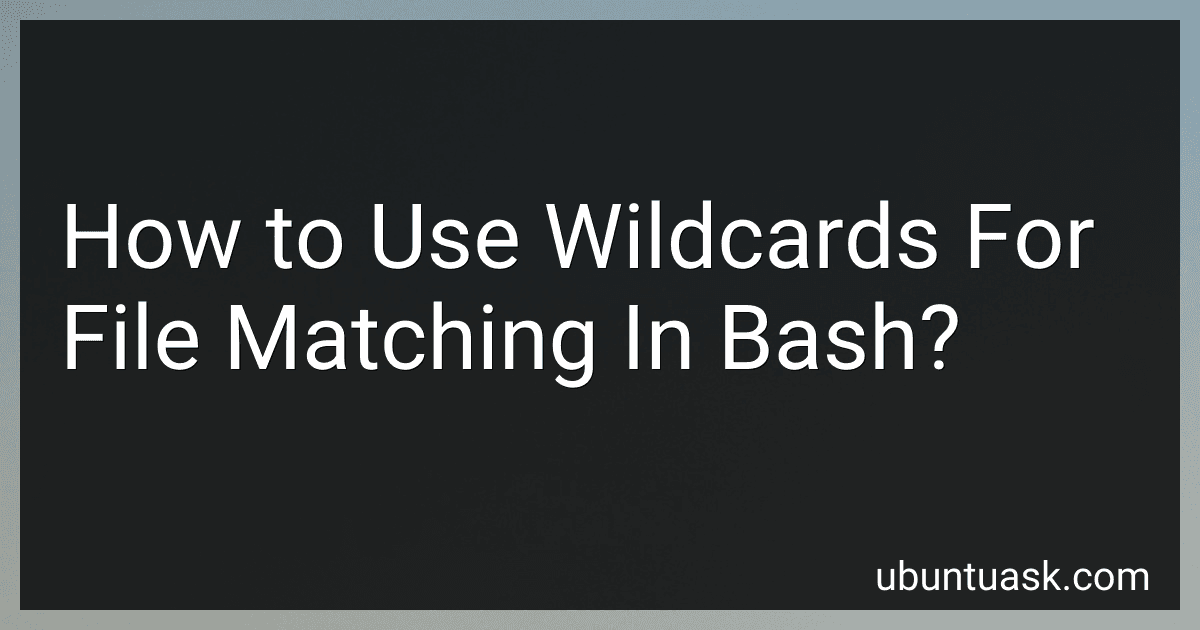 How to Use Wildcards For File Matching In Bash? image