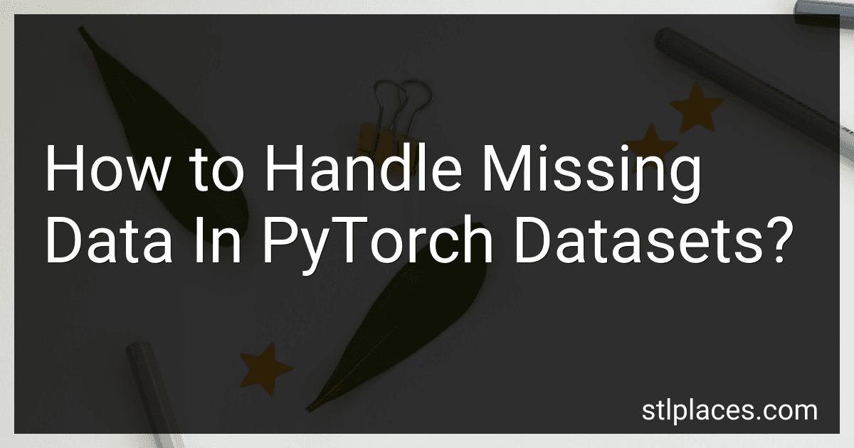 How to Handle Missing Data In PyTorch Datasets? image