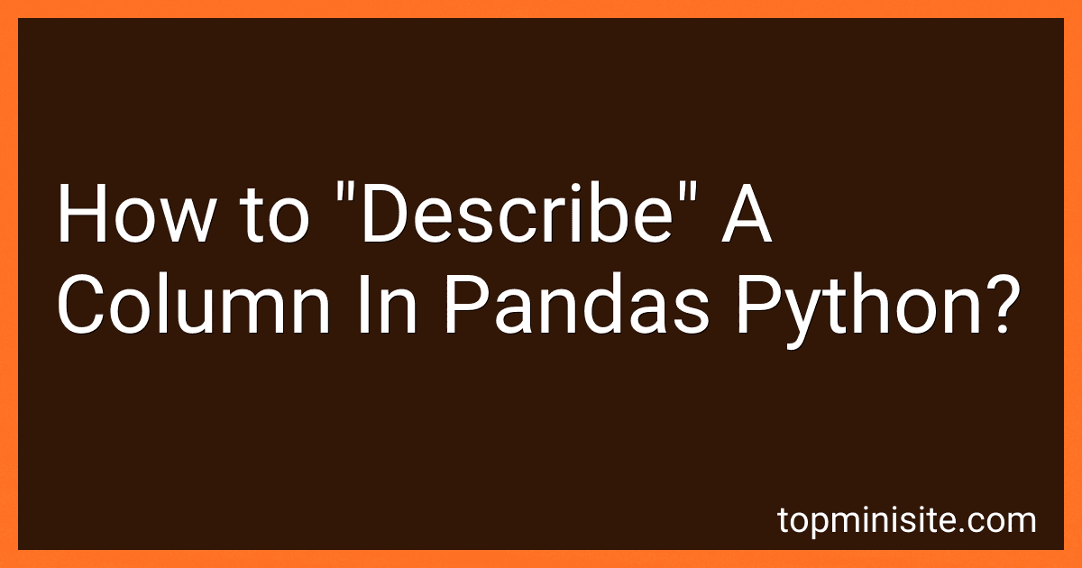 How to "Describe" A Column In Pandas Python? image