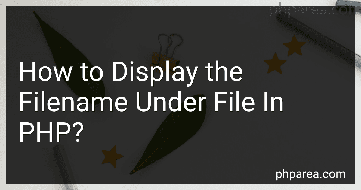 How to Display the Filename Under File In PHP? image