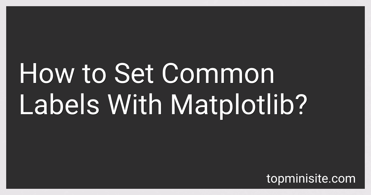 How to Set Common Labels With Matplotlib? image