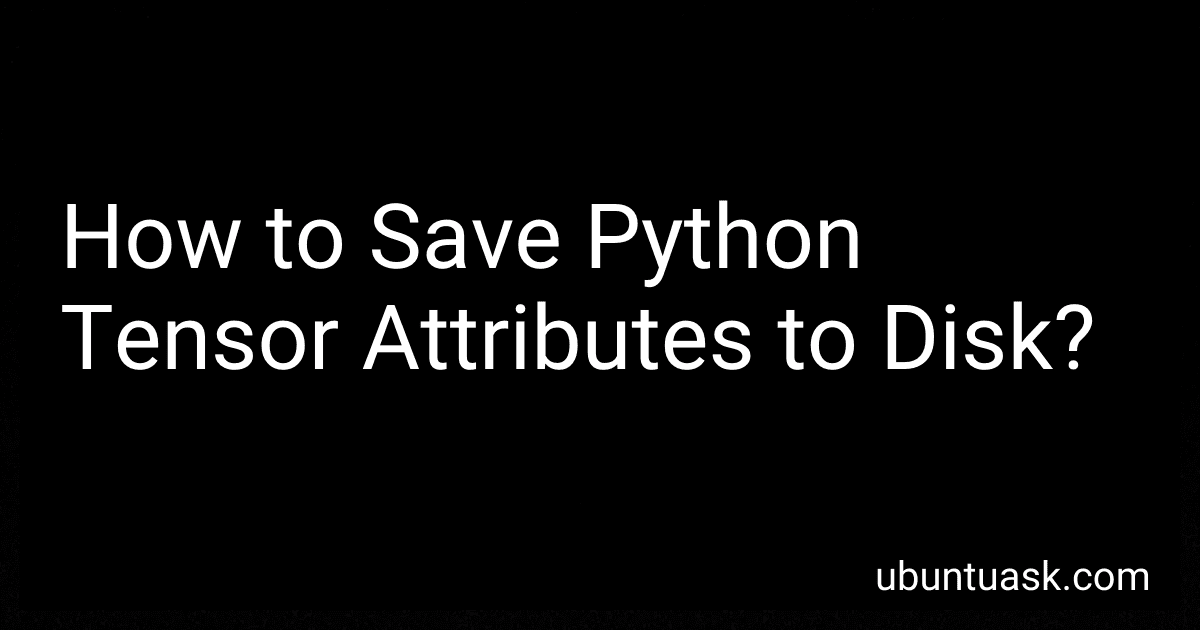 How to Save Python Tensor Attributes to Disk? image