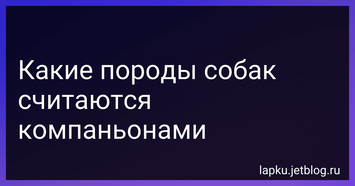 Какие породы собак считаются компаньонами preview