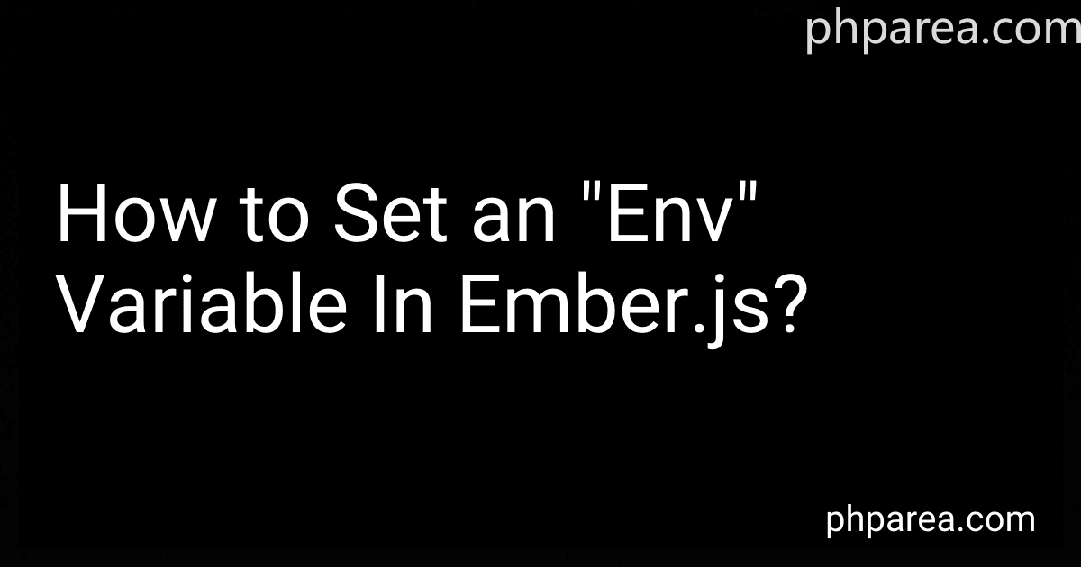 How to Set an "Env" Variable In Ember.js? image