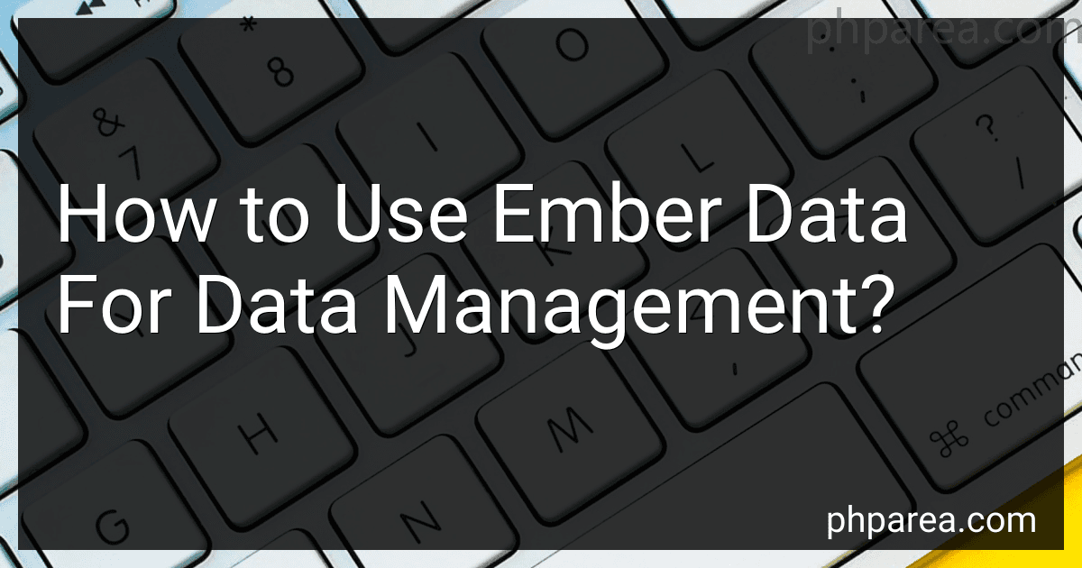 How to Use Ember Data For Data Management? image