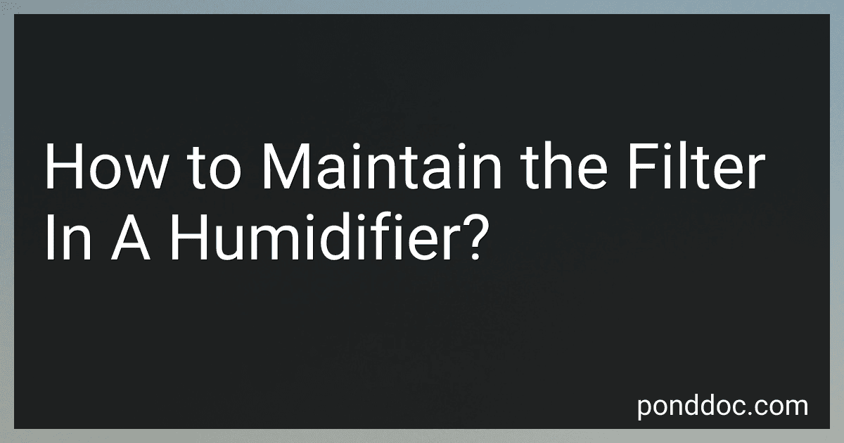 How to Maintain the Filter In A Humidifier? image