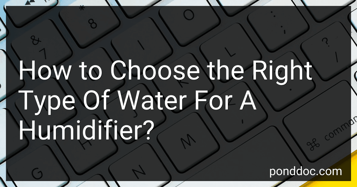 How to Choose the Right Type Of Water For A Humidifier? image