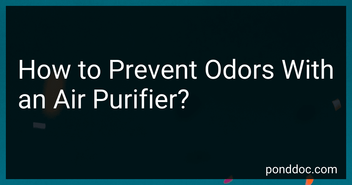 How to Prevent Odors With an Air Purifier? image
