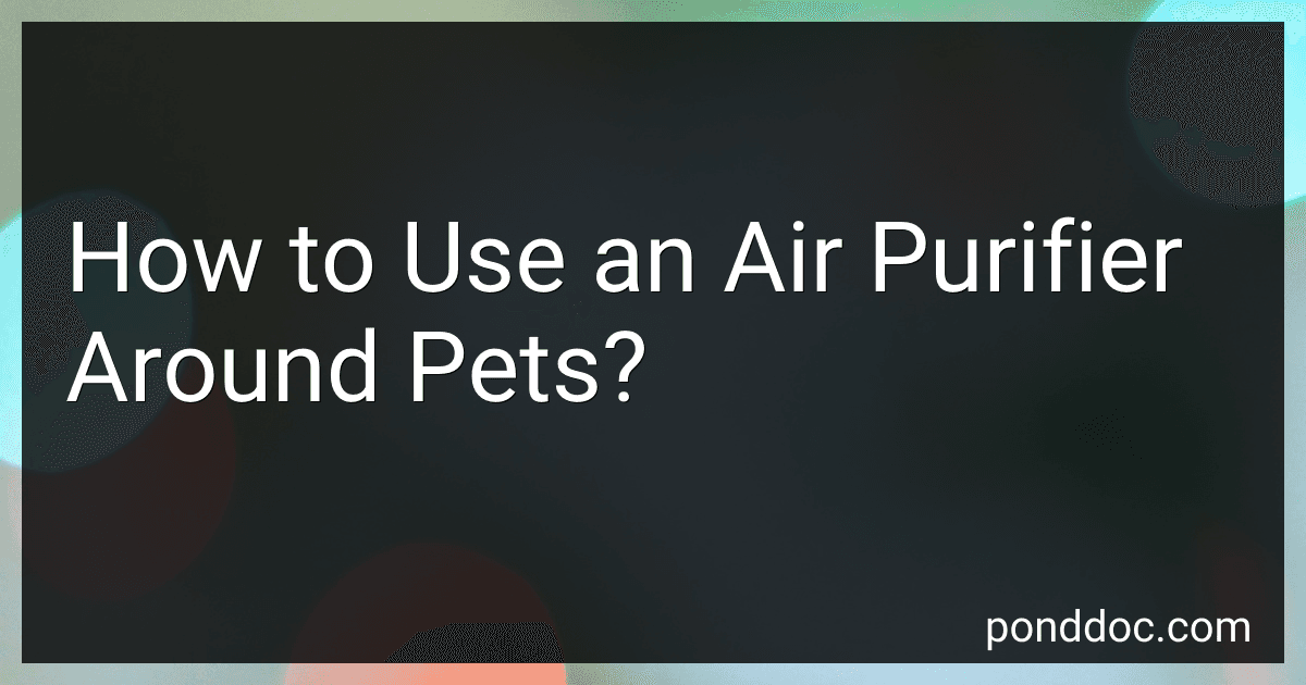 How to Use an Air Purifier Around Pets? image