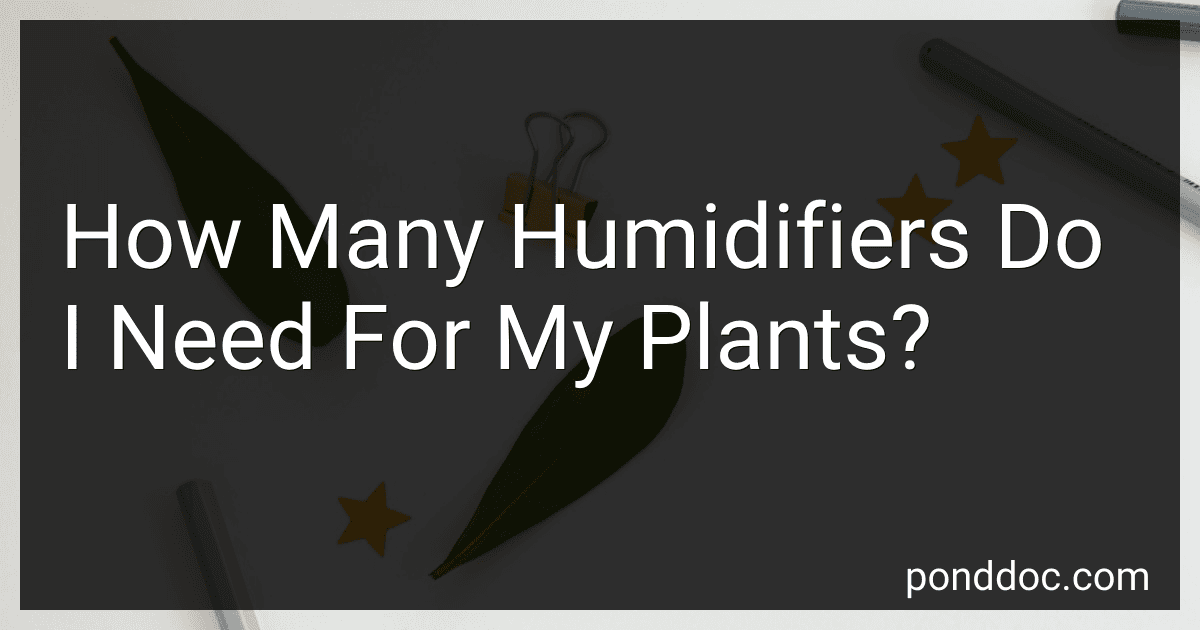 How Many Humidifiers Do I Need For My Plants? image