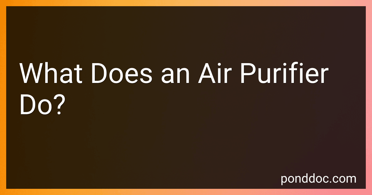 What Does an Air Purifier Do? image