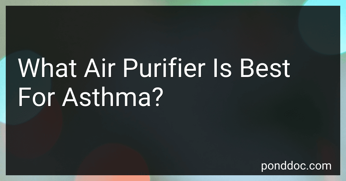 What Air Purifier Is Best For Asthma? image