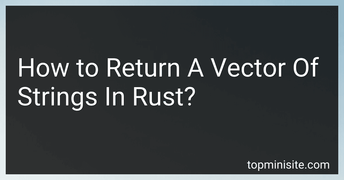 How to Return A Vector Of Strings In Rust? image