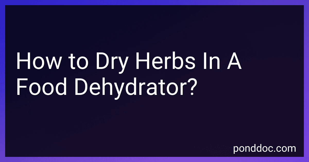 How to Dry Herbs In A Food Dehydrator? image