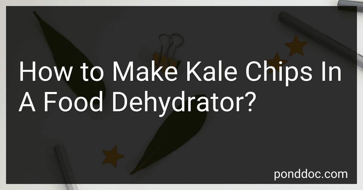 How to Make Kale Chips In A Food Dehydrator? image