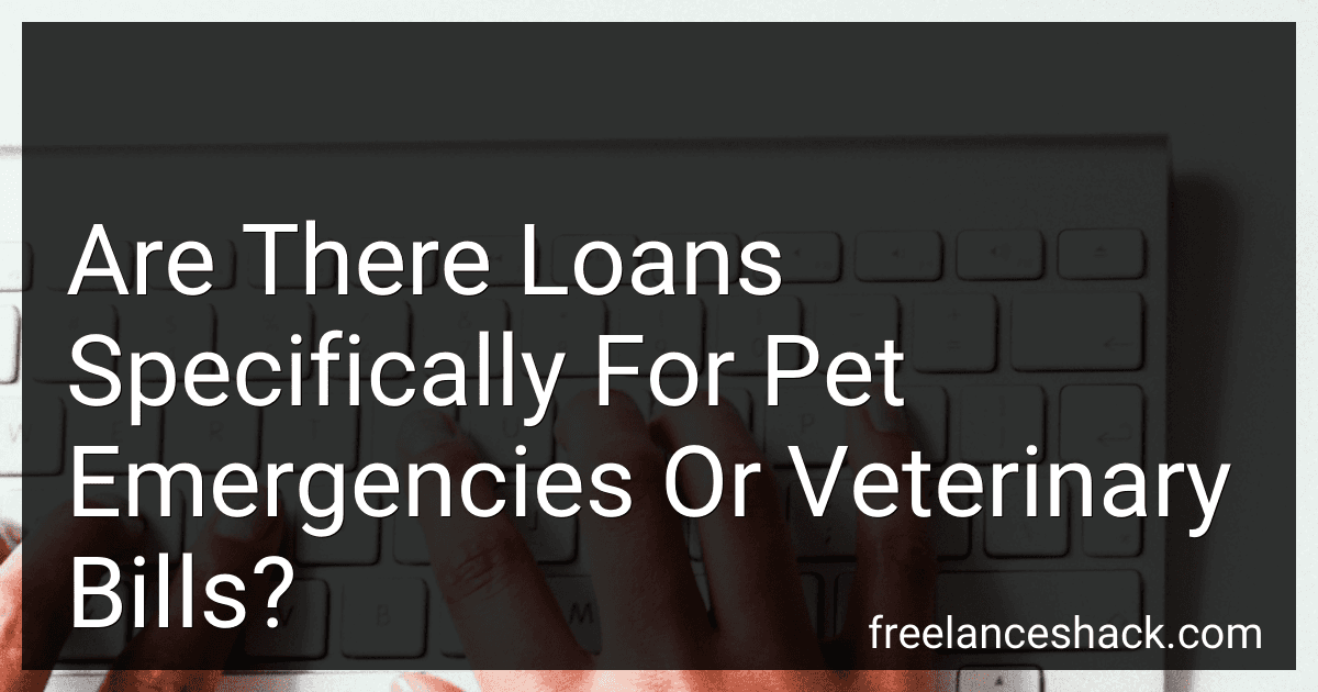 Are There Loans Specifically For Pet Emergencies Or Veterinary Bills? preview