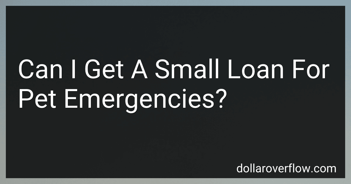 Can I Get A Small Loan For Pet Emergencies? image