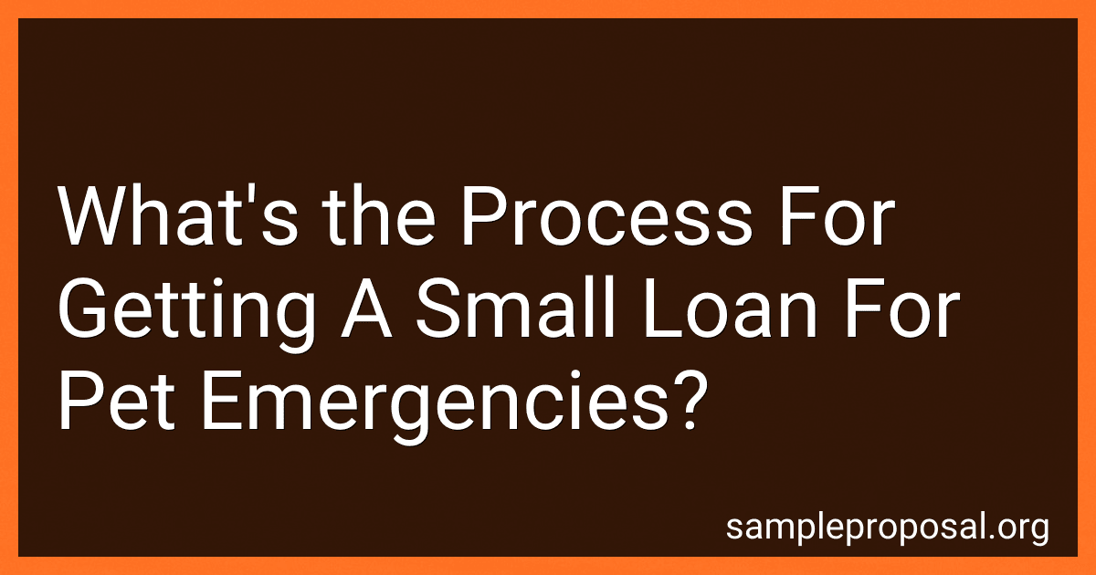 What's the Process For Getting A Small Loan For Pet Emergencies? image