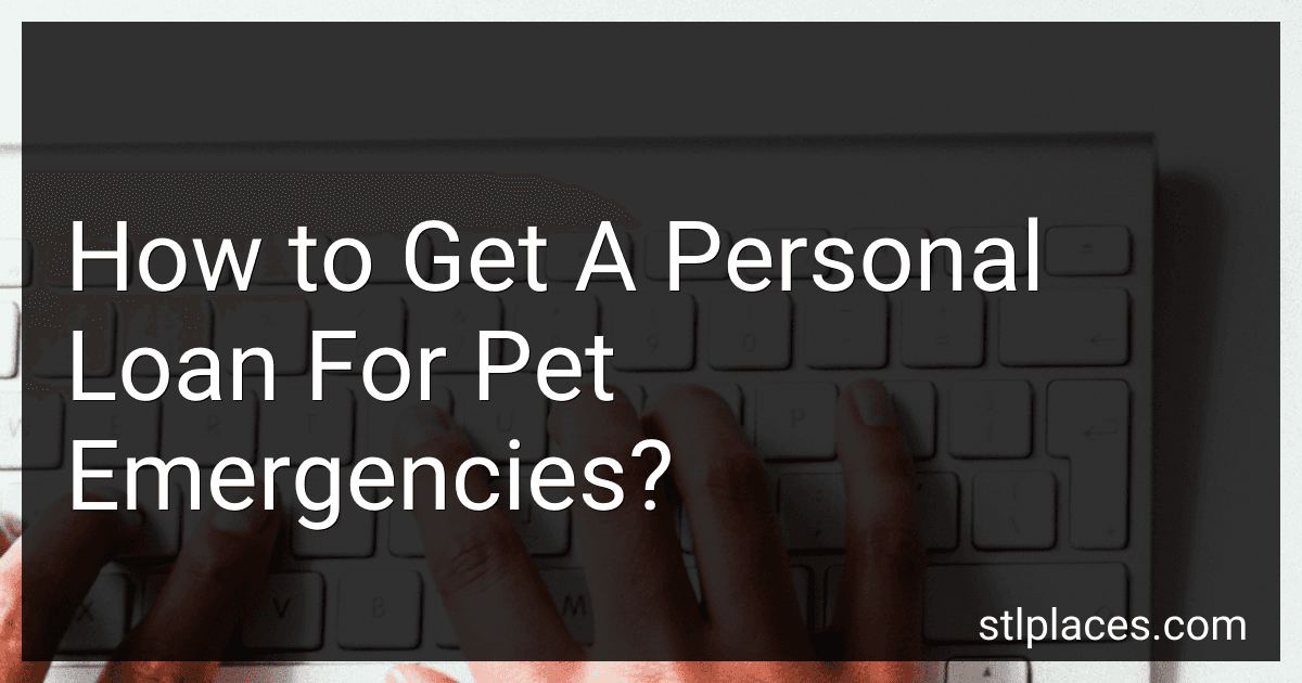 How to Get A Personal Loan For Pet Emergencies? image