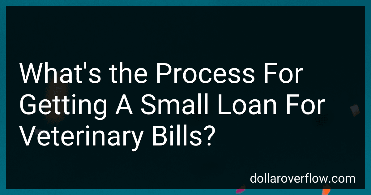What's the Process For Getting A Small Loan For Veterinary Bills? image