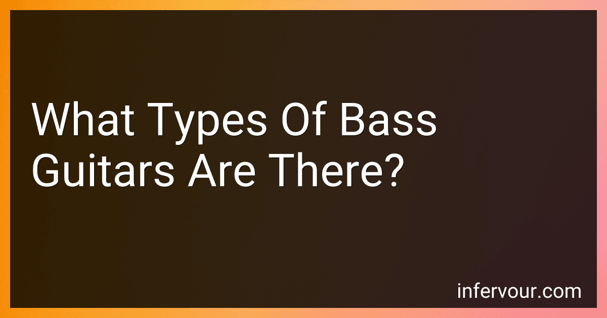 What Types Of Bass Guitars Are There? image