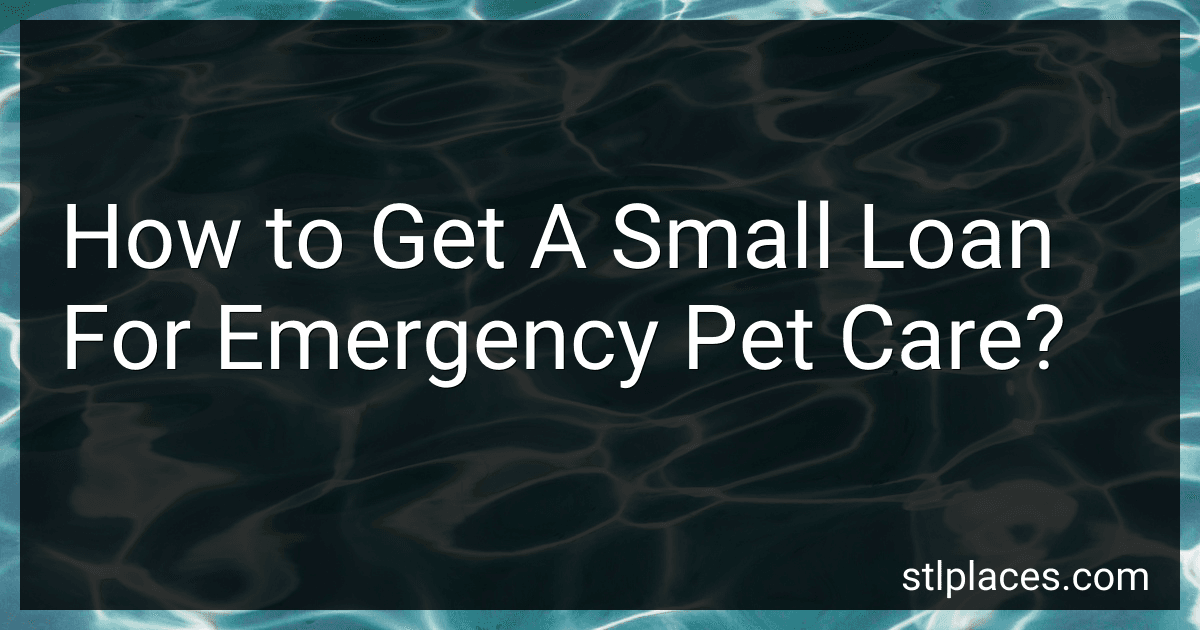 How to Get A Small Loan For Emergency Pet Care? image