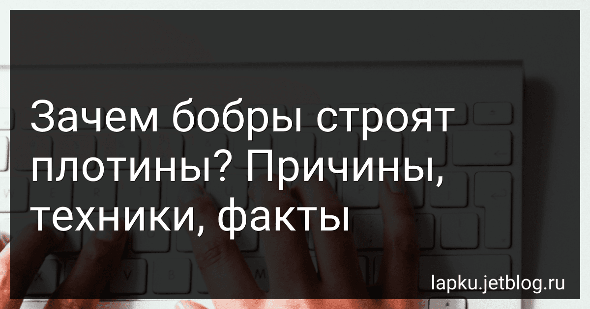 Зачем бобры строят плотины? Причины, техники, факты image