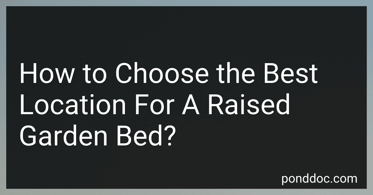 How to Choose the Best Location For A Raised Garden Bed? image