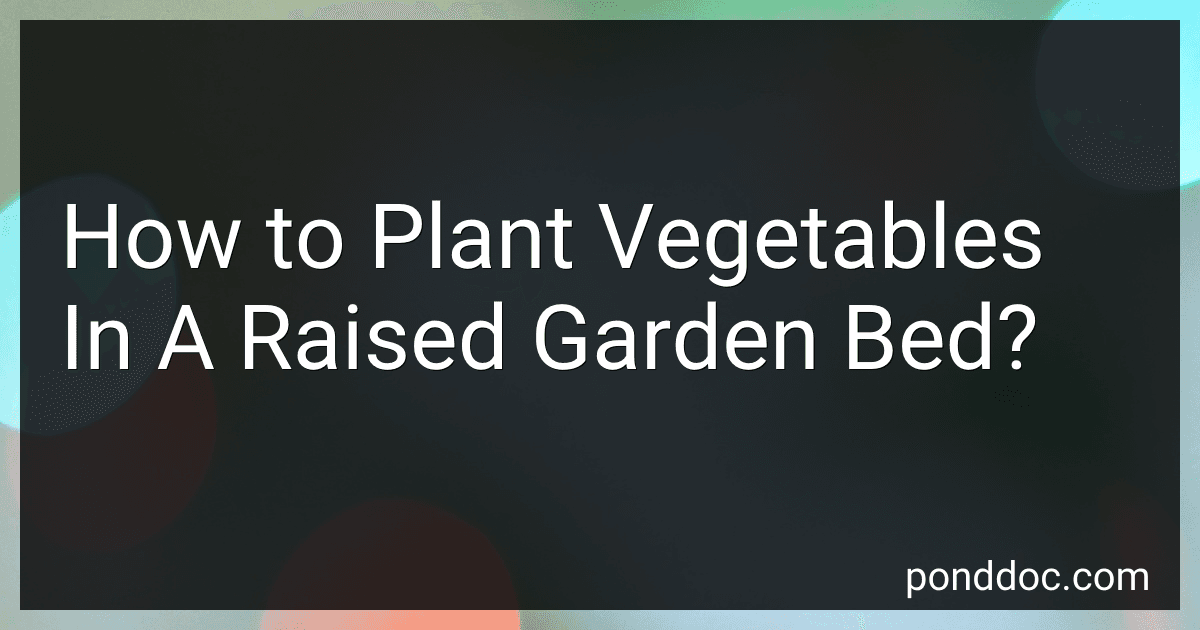 How to Plant Vegetables In A Raised Garden Bed? image