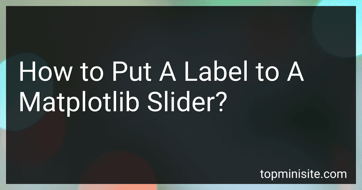 How to Put A Label to A Matplotlib Slider? image