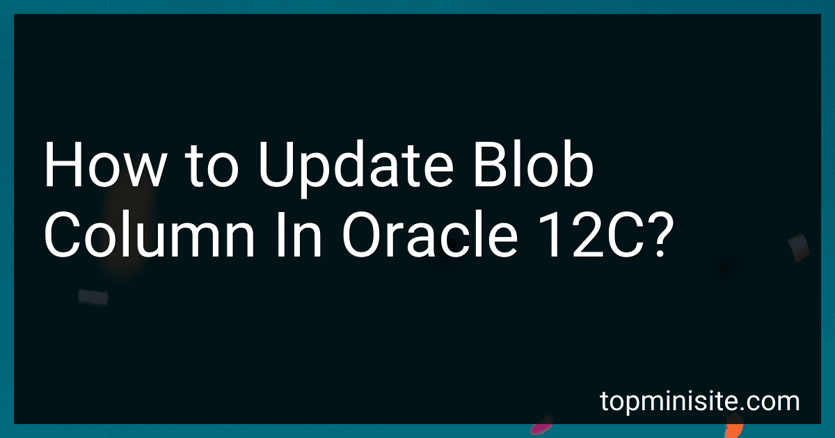 How to Update Blob Column In Oracle 12C? image