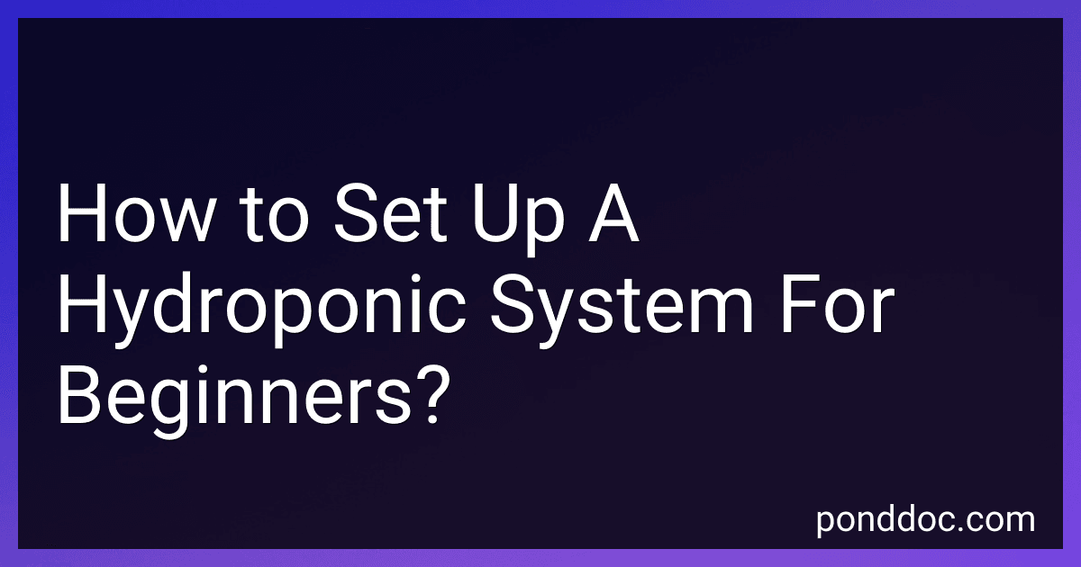 How to Set Up A Hydroponic System For Beginners? image