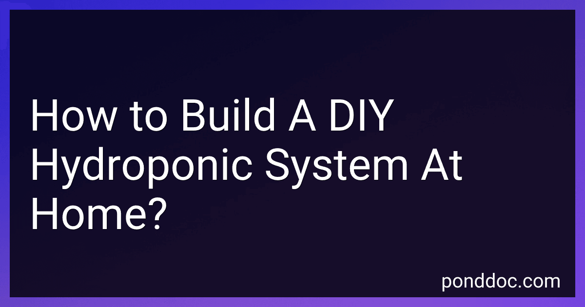 How to Build A DIY Hydroponic System At Home? image