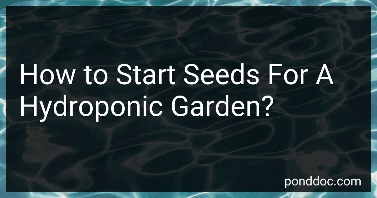 How to Start Seeds For A Hydroponic Garden? preview