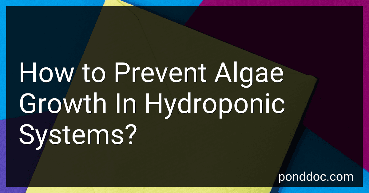 How to Prevent Algae Growth In Hydroponic Systems? image