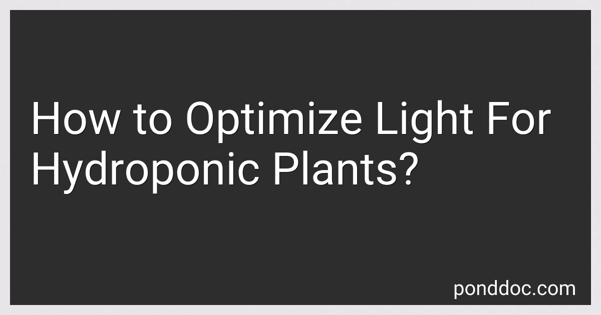 How to Optimize Light For Hydroponic Plants? image